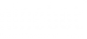 Segway / Ninebot